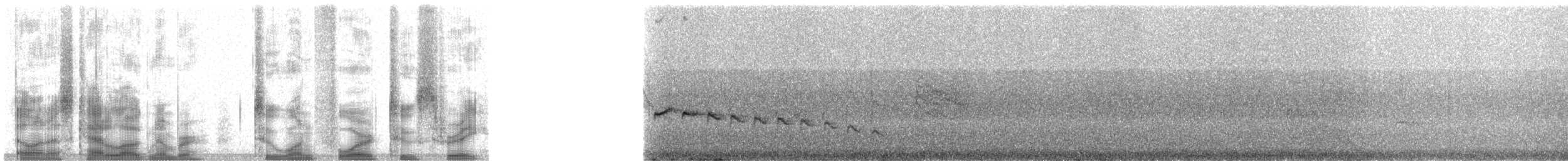 střízlík kaňonový - ML21423