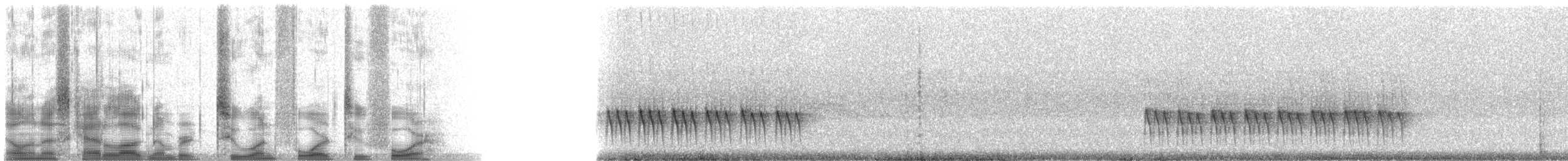 sýkora uzdičková - ML21424