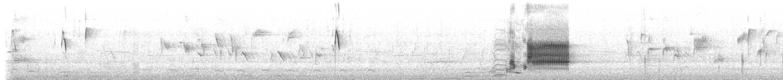vlhovec červenokřídlý [skupina phoeniceus] - ML214299511