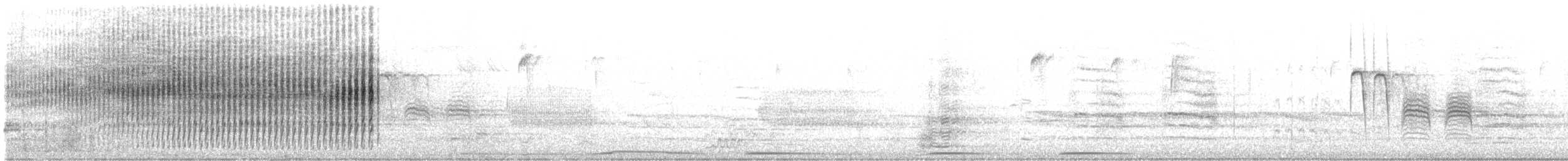 Поплітник каролінський - ML214304701