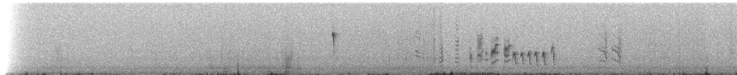 Troglodyte de Socorro - ML214327