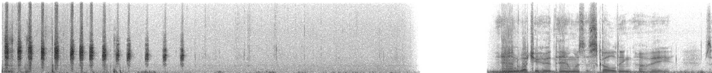 Troglodyte de Socorro - ML214331