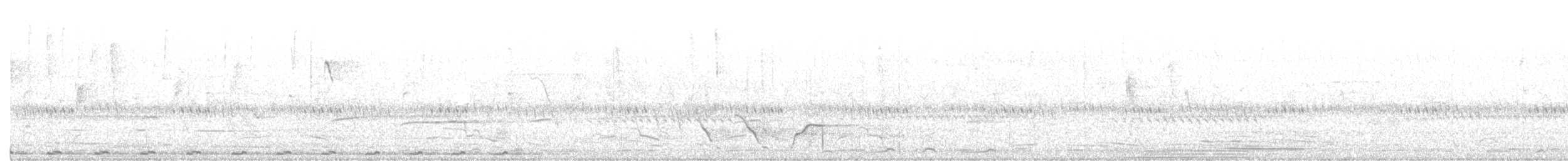 fasansporegjøk (phasianinus gr.) - ML214334211