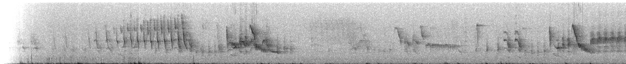 Troglodyte de Socorro - ML214336