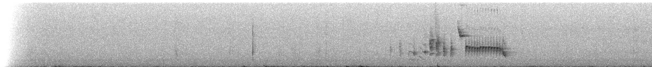 Troglodyte de Socorro - ML214340