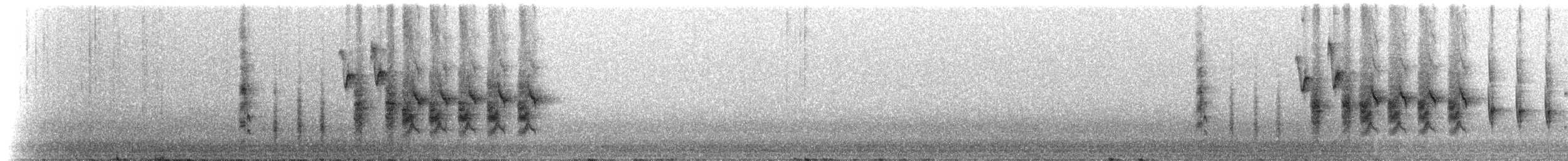 Troglodyte de Socorro - ML214343