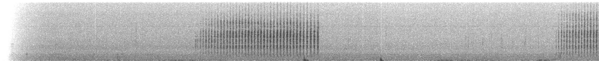 Troglodyte de Clarion - ML214346