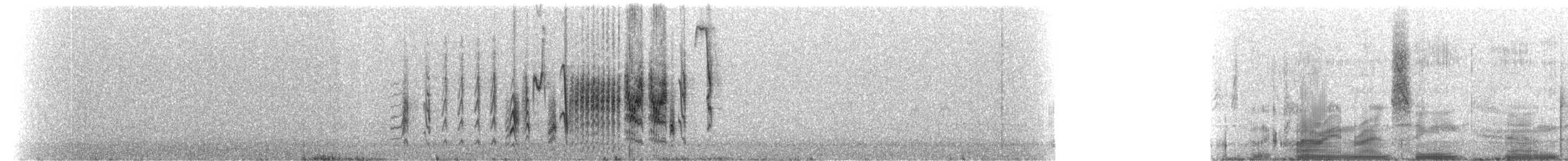 Troglodyte de Clarion - ML214352