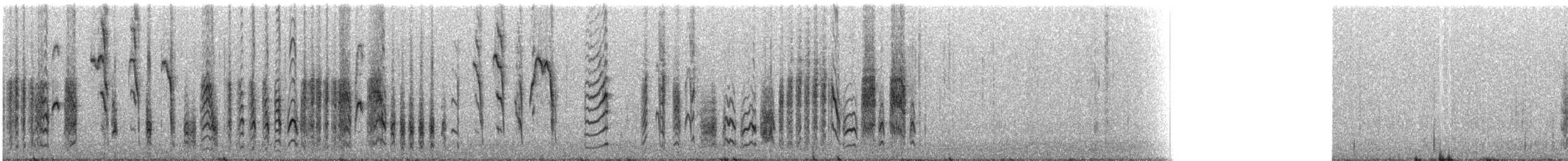 Troglodyte de Clarion - ML214355