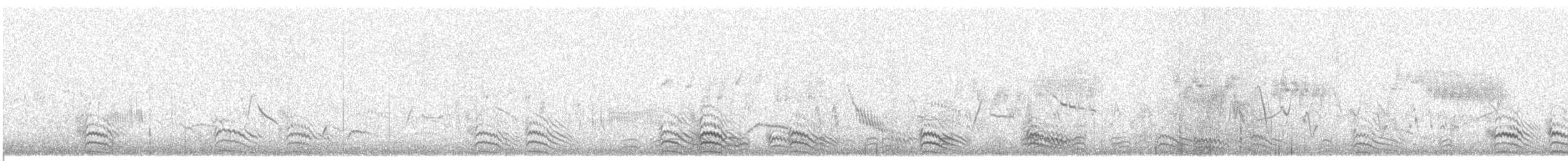 Pin-tailed Sandgrouse - ML214381851
