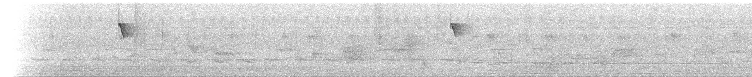 ヒメショウビン - ML214405771