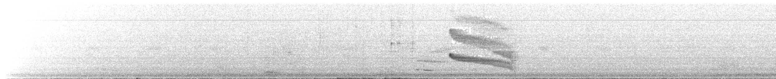 Чернопятнистая гологлазка - ML214415901