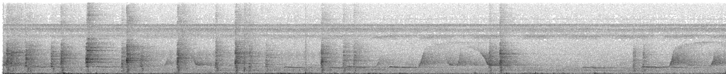 Trompetero Aliverde Occidental (obscura) - ML214419481