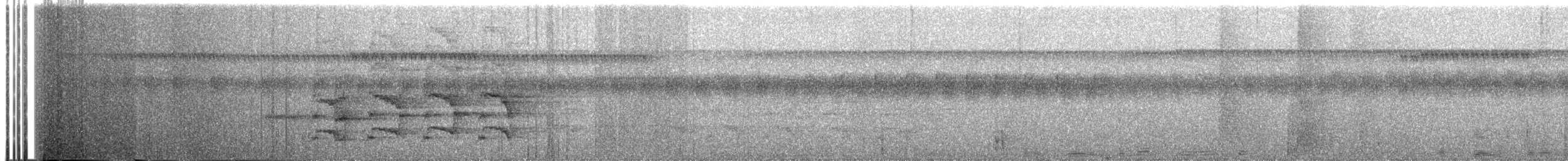 svartkronet hvitbukpapegøye - ML214424351