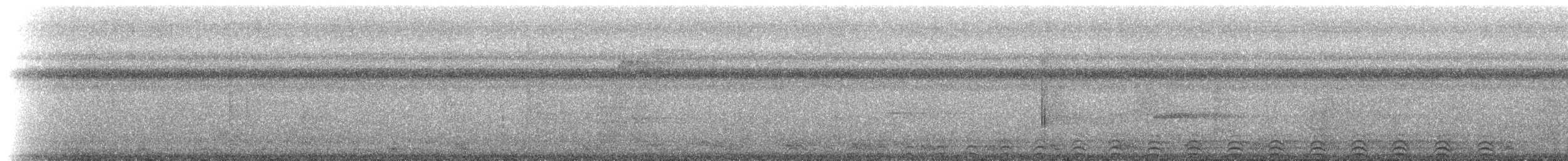Slaty-tailed Trogon (Massena) - ML214434