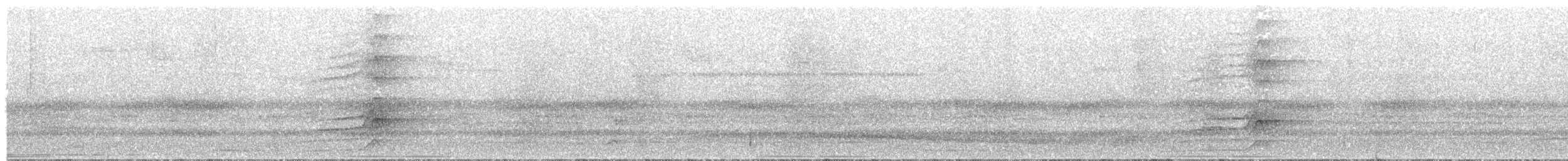 bruntreløper (brigidai) (okerhaketreløper) - ML214447491