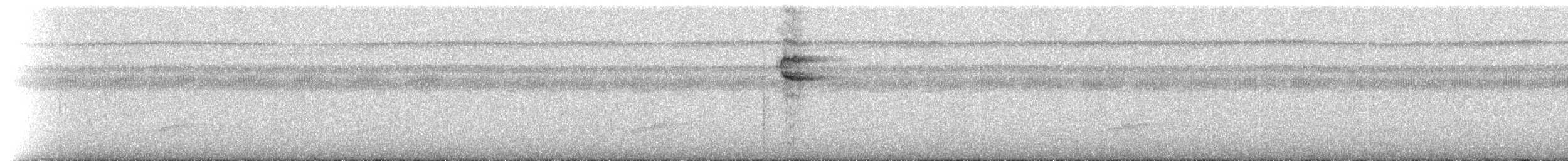 Cuco Ardilla Común (thermophila) - ML214486