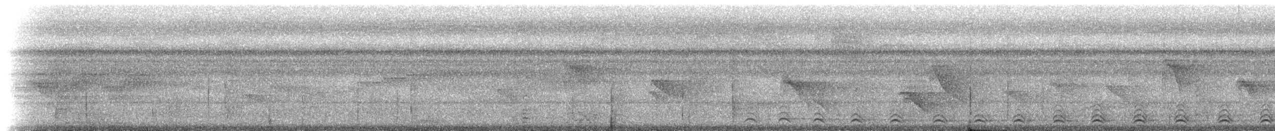 Slaty-tailed Trogon (Massena) - ML214517