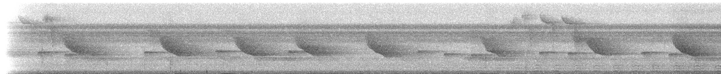 Slaty-tailed Trogon (Massena) - ML214522