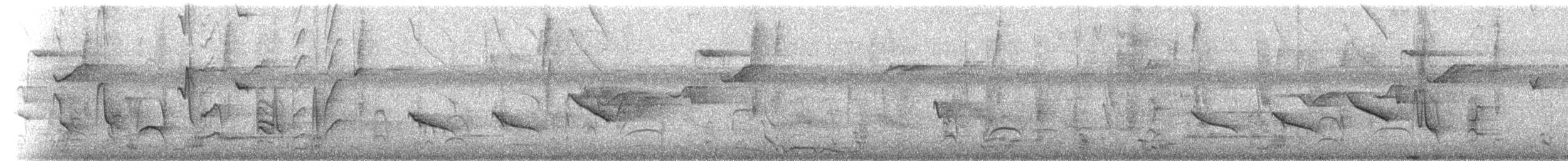 Рисоїд нікарагуанський - ML214526771