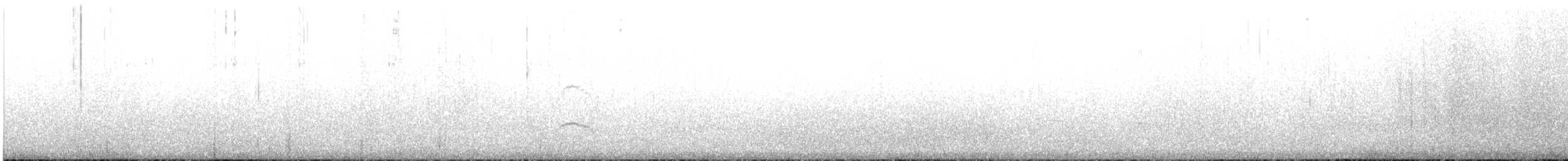 Magellanic Oystercatcher - ML214541791