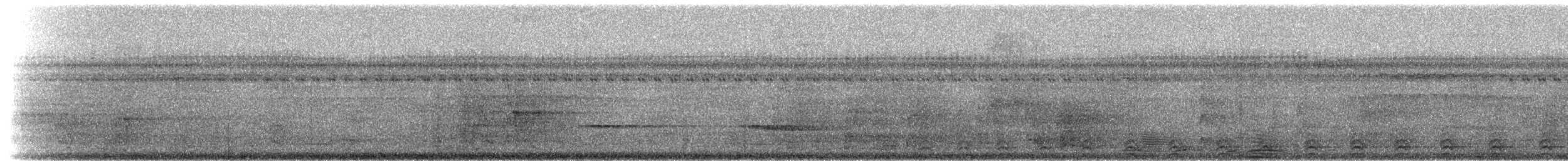 Slaty-tailed Trogon (Massena) - ML214566
