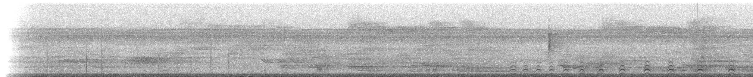 Slaty-tailed Trogon (Massena) - ML214581