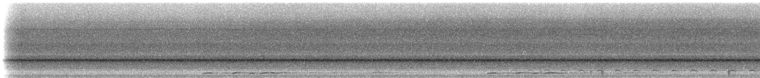Slaty-tailed Trogon (Massena) - ML214621