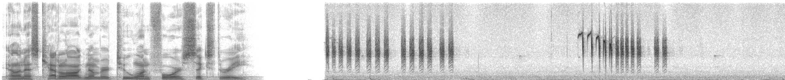 Bridled Titmouse - ML21463