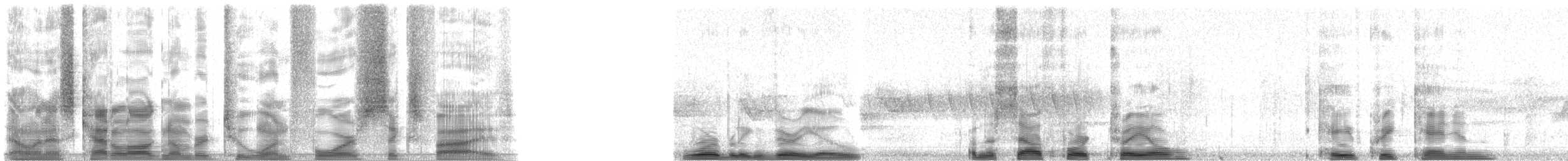 Western Warbling Vireo - ML21465