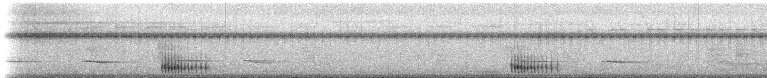 Slaty-tailed Trogon (Massena) - ML214654