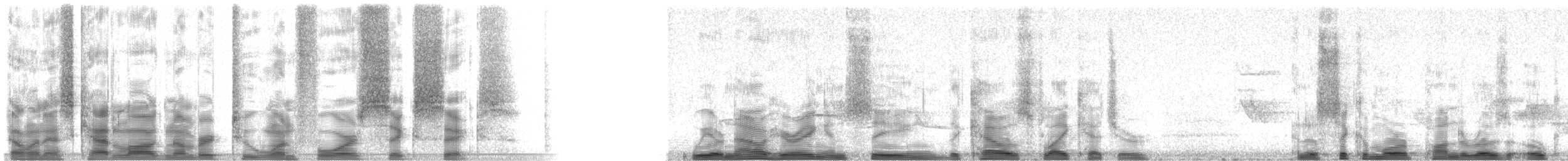 Greater Pewee (Mexican) - ML21466