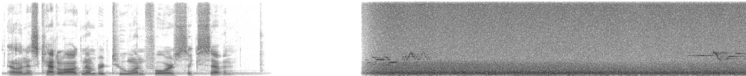 Дрізд-короткодзьоб плямистоволий - ML21467