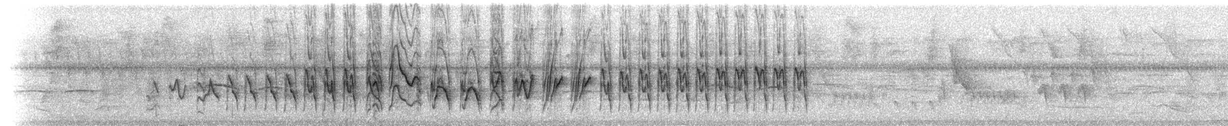 Semillero Variable (pío) - ML214679