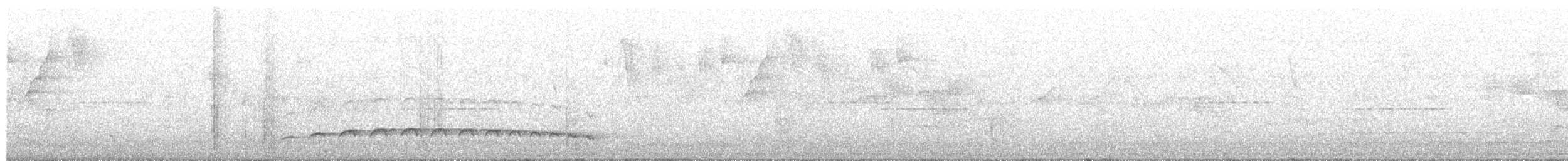 Fleckenbrust-Ameisenvogel - ML214686571