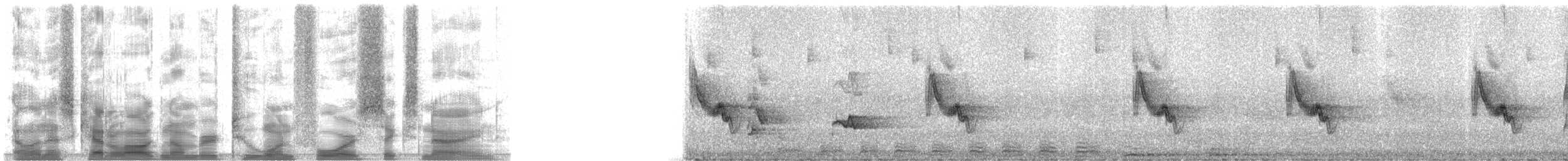 Hutton's Vireo (Interior) - ML21469