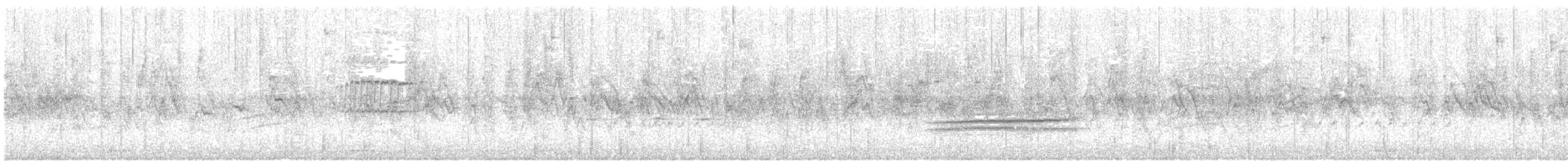 Varied Thrush - ML214700671