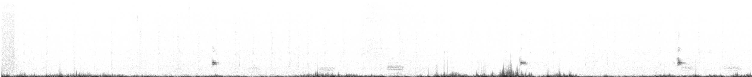Western Grebe - ML214701661