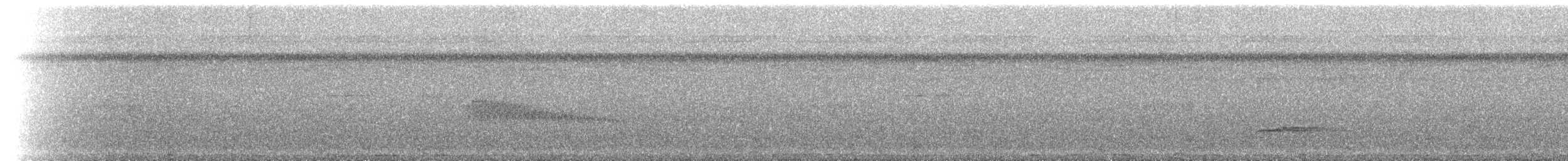 sapayoa - ML214702
