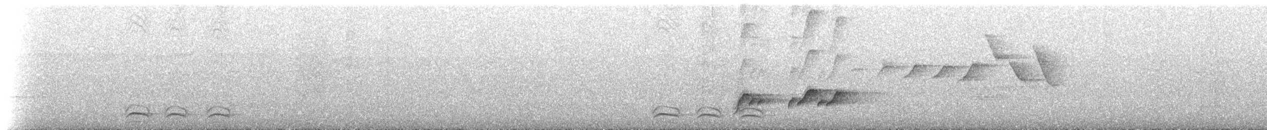 Манакін арарипський - ML214712