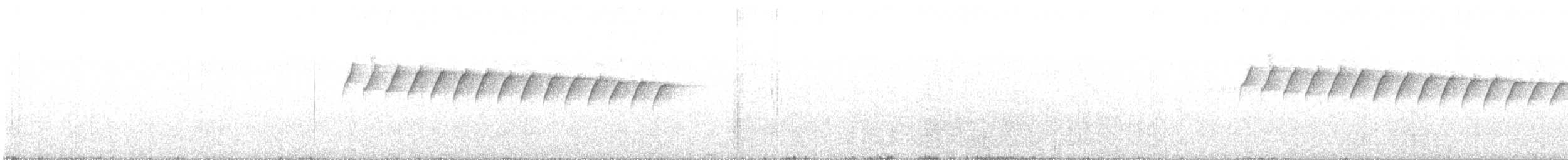 White-browed Gnatcatcher - ML214718471
