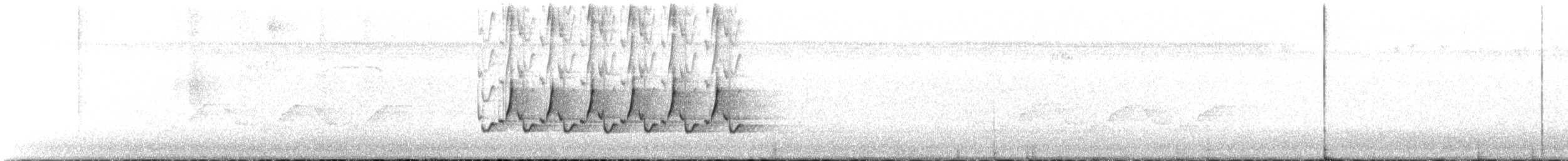 チャバラマユミソサザイ - ML214721481