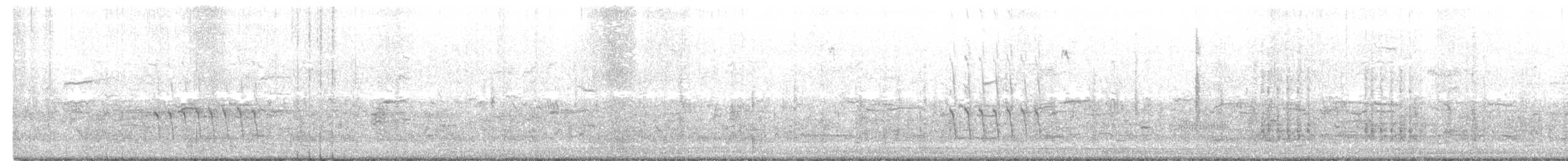 Brewer's Blackbird - ML214724281