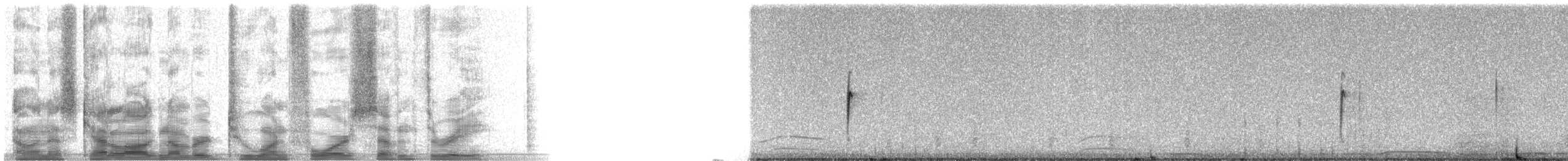 Gambel's Quail - ML21473