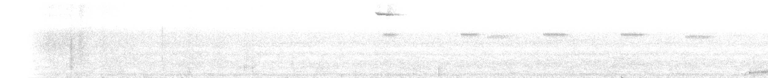 potu středoamerický - ML214736721