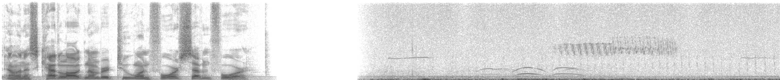 メキシコマシコ - ML21474