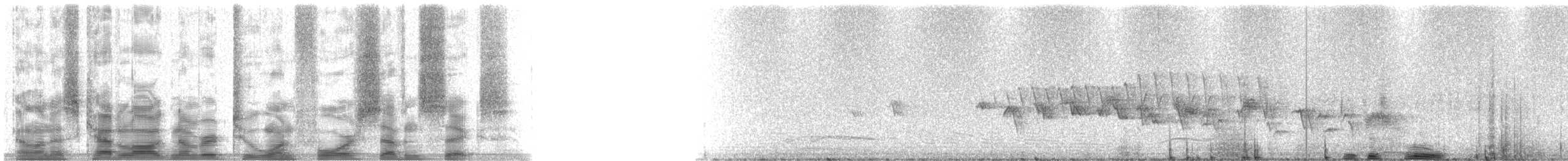 House Finch - ML21476