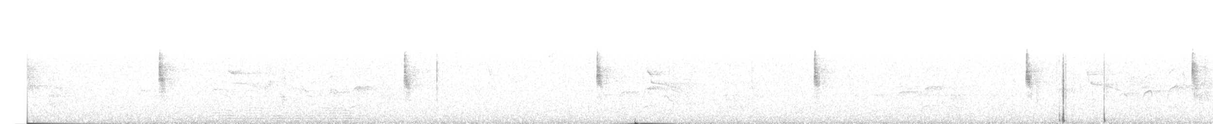 Common Yellowthroat (trichas Group) - ML214765801