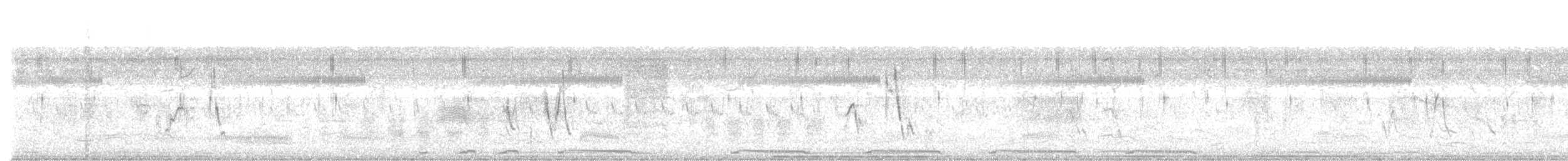 Широкохвіст смугастий - ML214767451