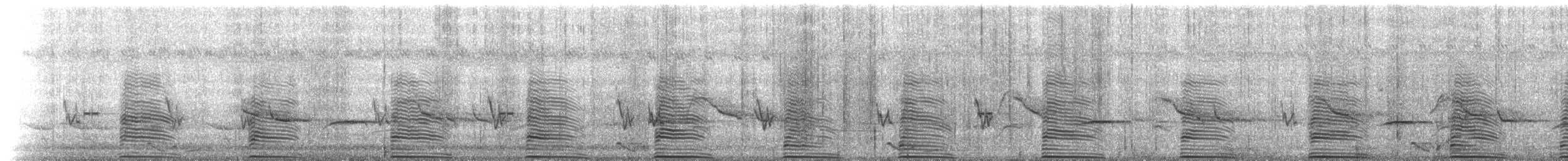 Southern Ground-Hornbill - ML214791131